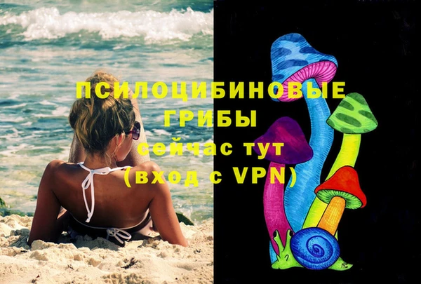 хмурый Абинск