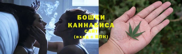 ГАЛЛЮЦИНОГЕННЫЕ ГРИБЫ Абаза