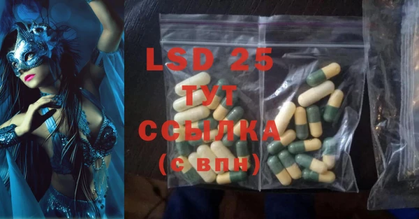 ГАЛЛЮЦИНОГЕННЫЕ ГРИБЫ Абаза