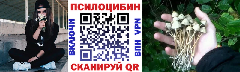 Псилоцибиновые грибы Magic Shrooms  купить наркотики цена  Старый Крым 